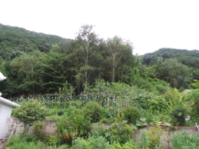 강원특별자치도 평창군 평창읍 뇌운리 76-4 전 경매 사진 3
