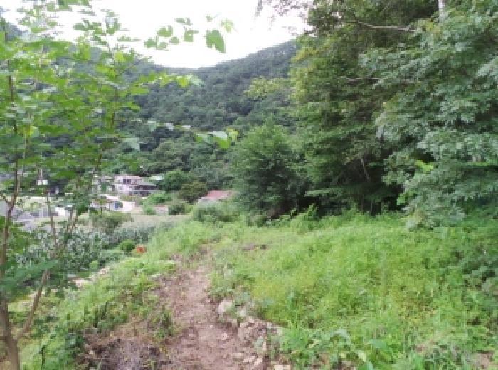 강원특별자치도 평창군 평창읍 뇌운리 76-4 전 경매 사진 6