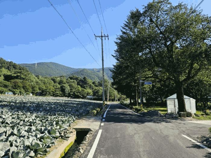 강원특별자치도 평창군 대화면 하안미리 119 전 경매 사진 3