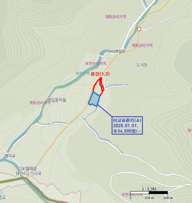 강원특별자치도 평창군 대화면 하안미리 119 전 경매 사진 8