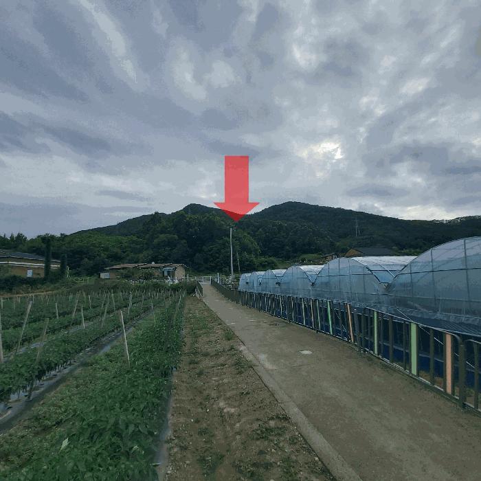 충청남도 금산군 임야