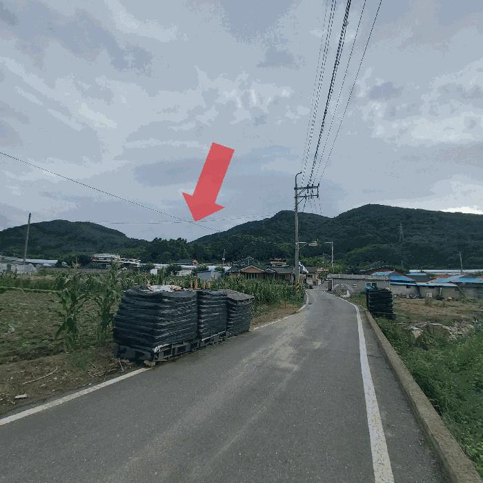 충청남도 금산군 추부면 서대리 산34-4 임야 경매 사진 2