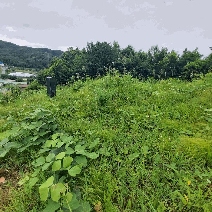 충청남도 금산군 추부면 서대리 산34-4 임야 경매 사진 3