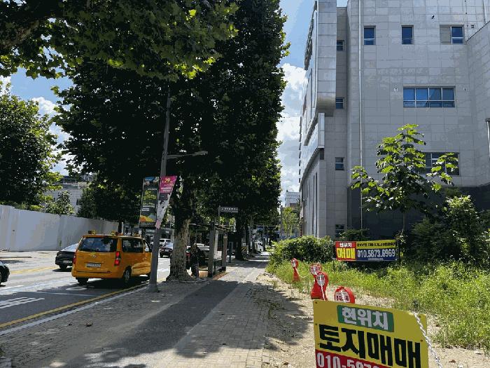 대전광역시 중구 대흥동 888-42 대지 경매 사진 3
