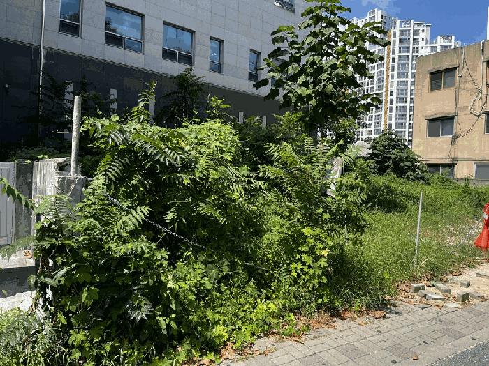 대전광역시 중구 대흥동 888-42 대지 경매 사진 4