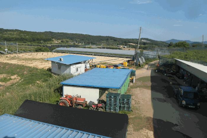 충청남도 논산시 은진면 용산리 217-10 전 경매 사진 14