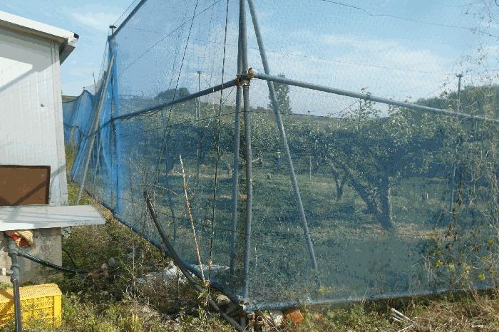 충청남도 논산시 은진면 용산리 217-10 전 경매 사진 15