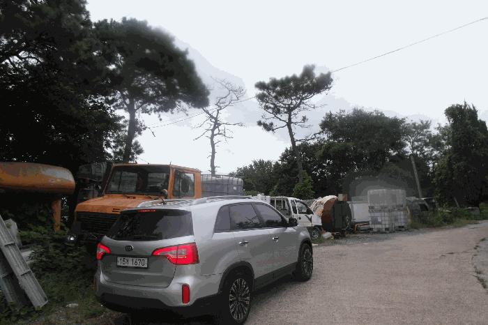 충청남도 논산시 연무읍 양지리 194-10 주1동 공장 경매 사진 2
