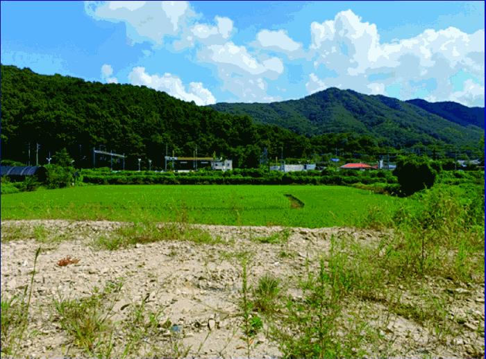 충청남도 논산시 답