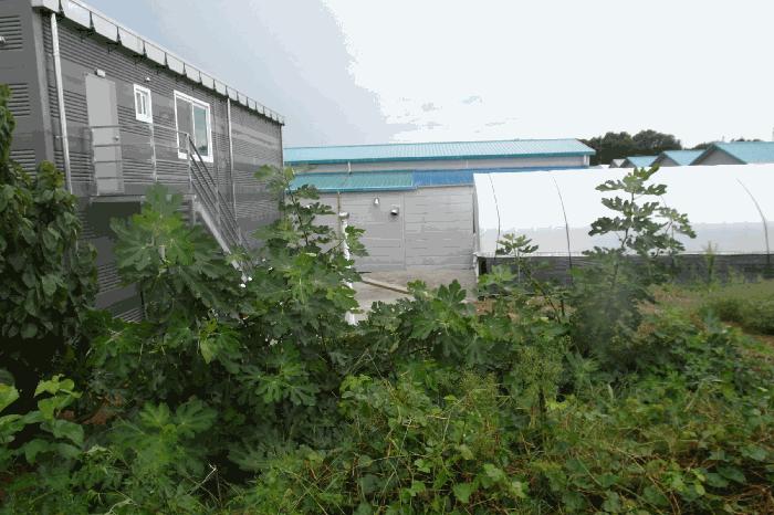 충청남도 논산시 성동면 원북리 532-35 전 경매 사진 3