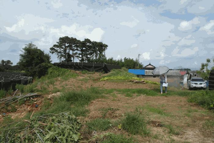 충청남도 논산시 성동면 원북리 532-35 전 경매 사진 5