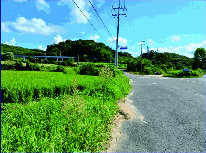 충청남도 부여군 양화면 수원리 347-3 답 경매 사진 2
