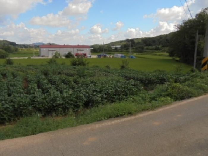 충청남도 부여군 양화면 암수리 376-1 전 경매 사진 12