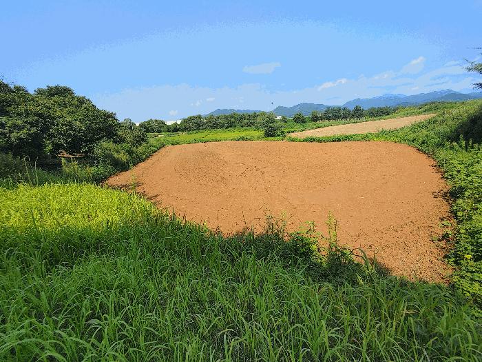 충청남도 부여군 남면 대선리 409 전 경매 사진 2