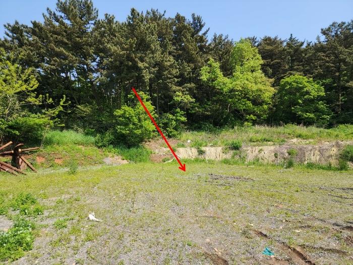 충청남도 태안군 근흥면 신진도리 78 창고 경매 사진 19
