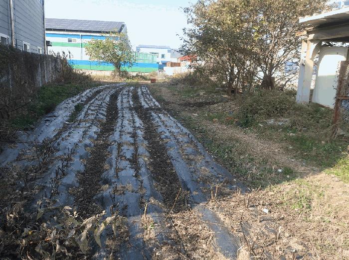 대구광역시 달성군 논공읍 금포리 705 답 경매 사진 2