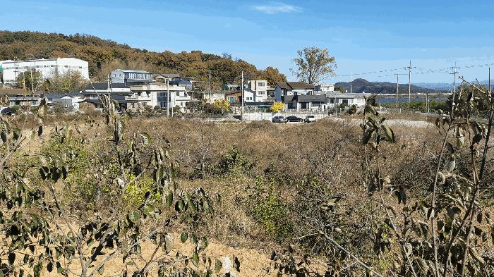 경상북도 성주군 선남면 선원리 113 답 경매 사진 15