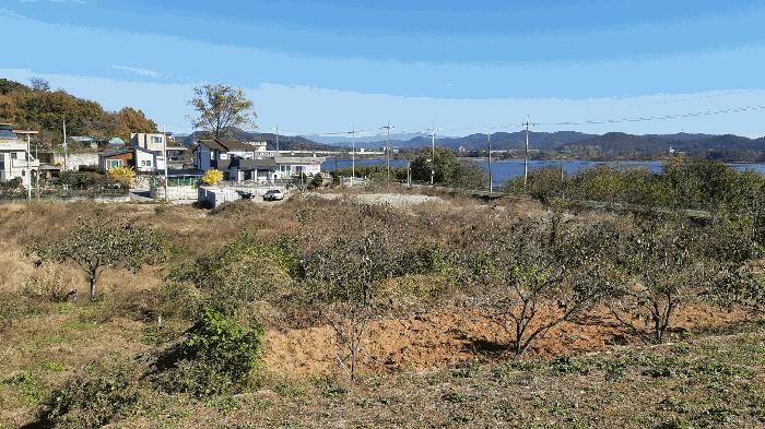 경상북도 성주군 선남면 선원리 113 답 경매 사진 2