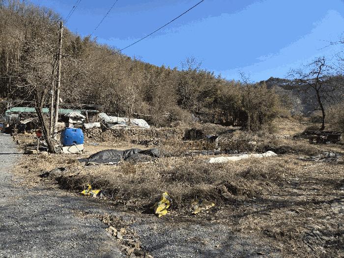경상북도 고령군 다산면 호촌리 382-8 전 경매 사진 1