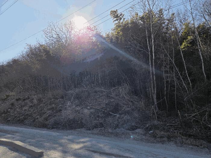 경상북도 고령군 다산면 호촌리 382-8 전 경매 사진 4