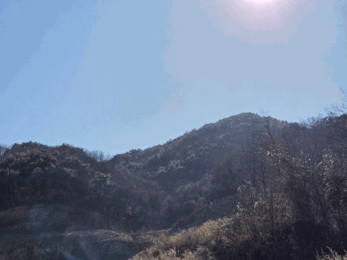경상북도 고령군 다산면 호촌리 382-8 전 경매 사진 5