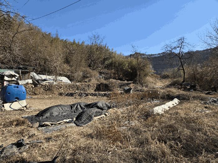 경상북도 고령군 다산면 호촌리 382-8 전 경매 사진 8