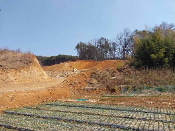 충청남도 공주시 의당면 수촌리 산13-12 임야 경매 사진 11
