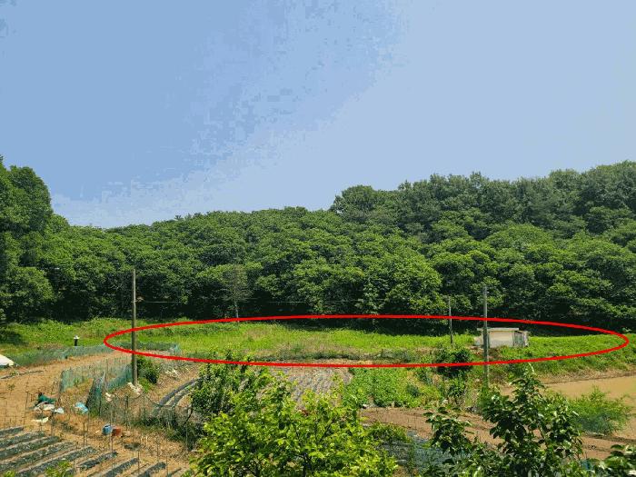 충청남도 공주시 우성면 상서리 406 전 경매 사진 4