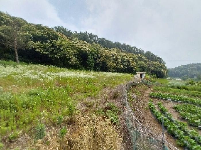 충청남도 공주시 우성면 상서리 406 전 경매 사진 9