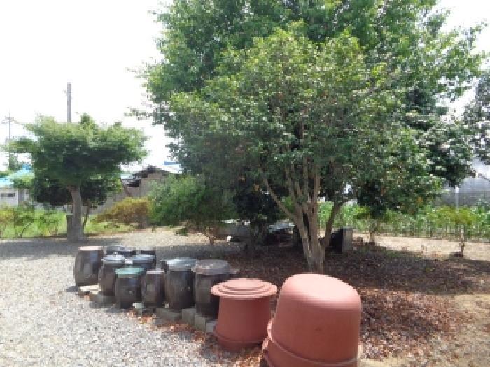 충청남도 서산시 부석면 취평리 278 전 경매 사진 8