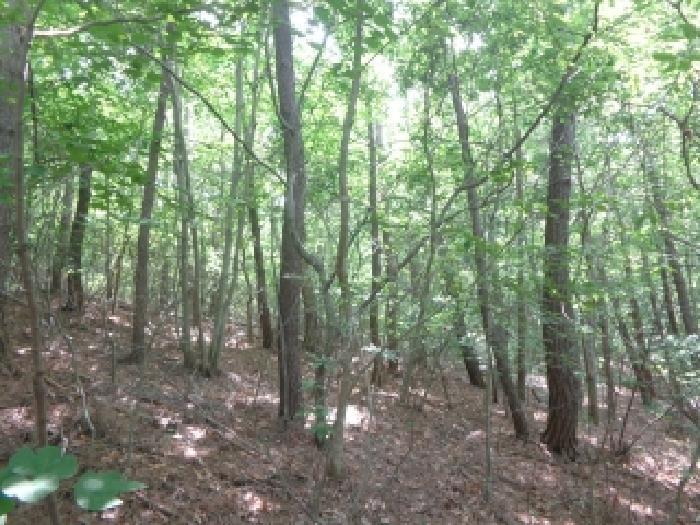 충청남도 서산시 팔봉면 고파도리 산10-6 임야 경매 사진 10