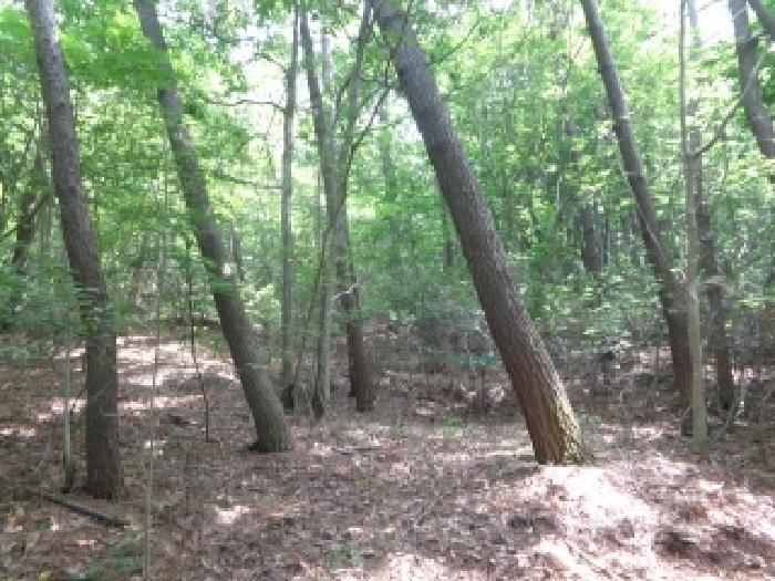 충청남도 서산시 팔봉면 고파도리 산10-6 임야 경매 사진 11