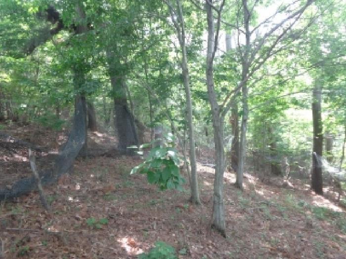 충청남도 서산시 팔봉면 고파도리 산10-6 임야 경매 사진 13
