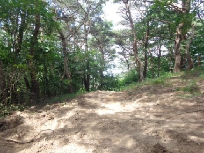 충청남도 서산시 팔봉면 고파도리 산10-6 임야 경매 사진 15