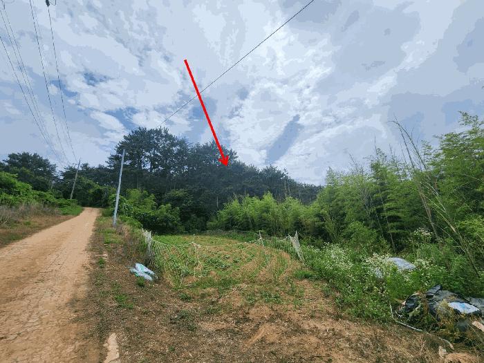 충청남도 서산시 팔봉면 고파도리 산10-6 임야 경매 사진 2