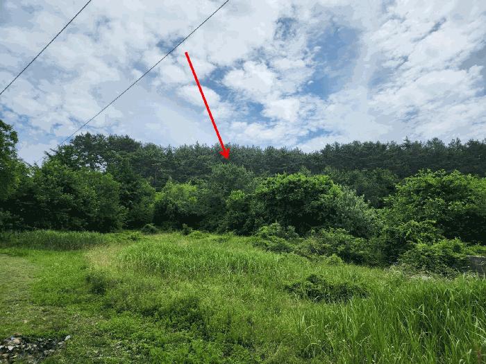 충청남도 서산시 팔봉면 고파도리 산10-6 임야 경매 사진 3