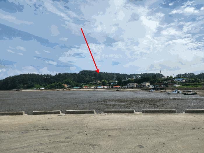 충청남도 서산시 팔봉면 고파도리 산10-6 임야 경매 사진 5