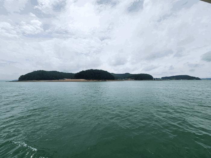 충청남도 서산시 팔봉면 고파도리 산10-6 임야 경매 사진 6