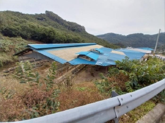 충청남도 청양군 장평면 죽림리 8 축사(농가시설) 경매 사진 17