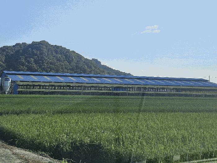 충청남도 청양군 장평면 죽림리 8 축사(농가시설) 경매 사진 7