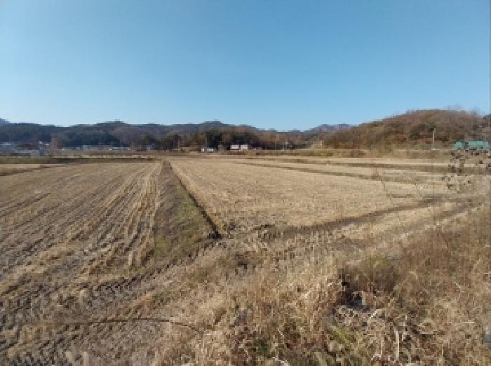 충청남도 공주시 유구읍 석남리 111-3 공장 경매 사진 14