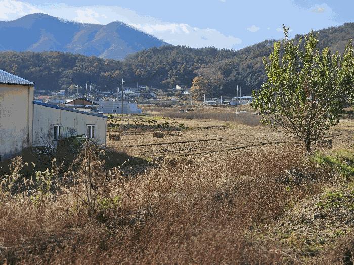 충청남도 공주시 유구읍 석남리 111-3 공장 경매 사진 8