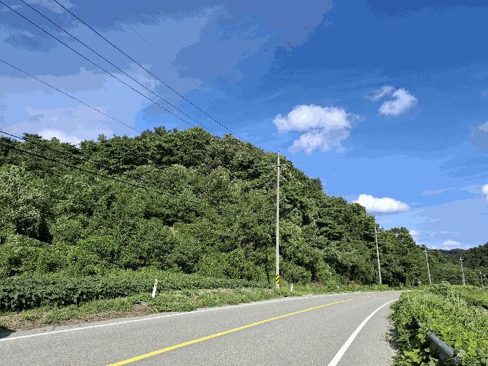 충청남도 공주시 이인면 달산리 산27-1 임야 경매 사진 3