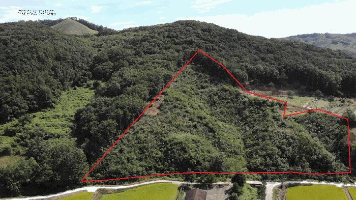충청남도 공주시 탄천면 운곡리 산9 임야 경매 사진 1