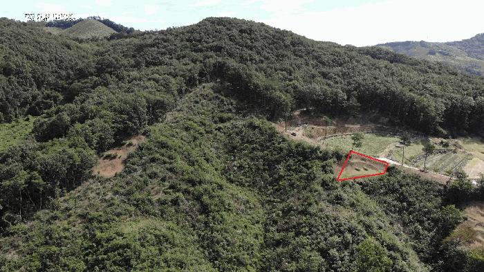 충청남도 공주시 탄천면 운곡리 산9 임야 경매 사진 2