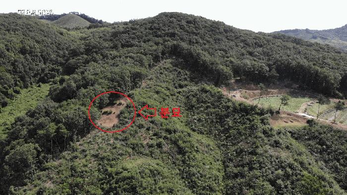 충청남도 공주시 탄천면 운곡리 산9 임야 경매 사진 3