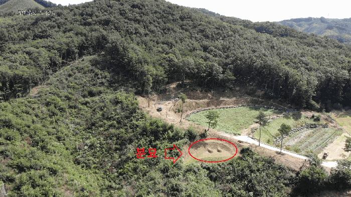 충청남도 공주시 탄천면 운곡리 산9 임야 경매 사진 4