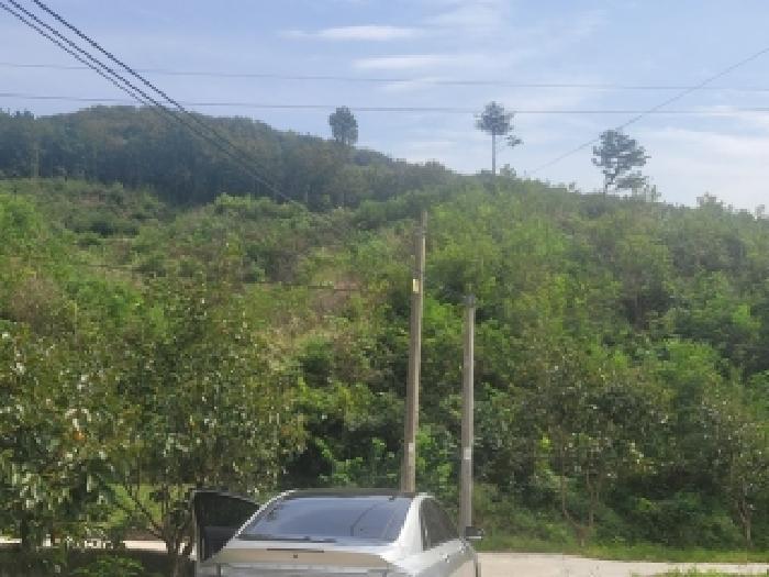충청남도 공주시 탄천면 운곡리 산9 임야 경매 사진 7