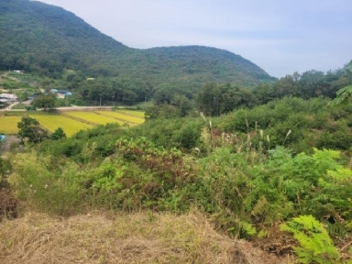 충청남도 공주시 탄천면 운곡리 산9 임야 경매 사진 8