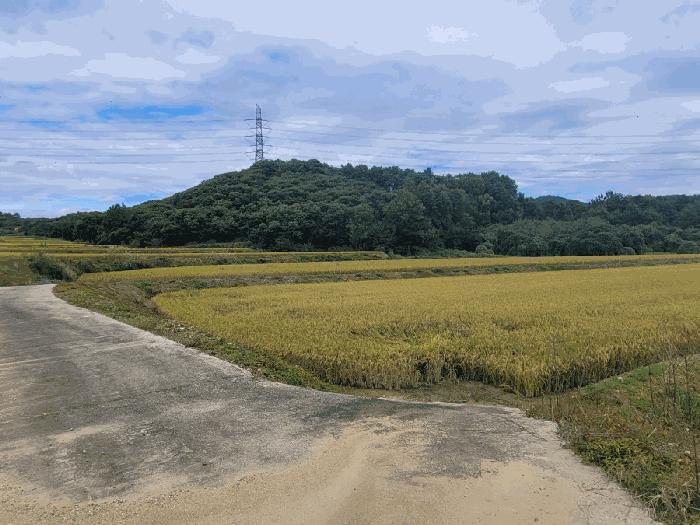 충청남도 공주시 답